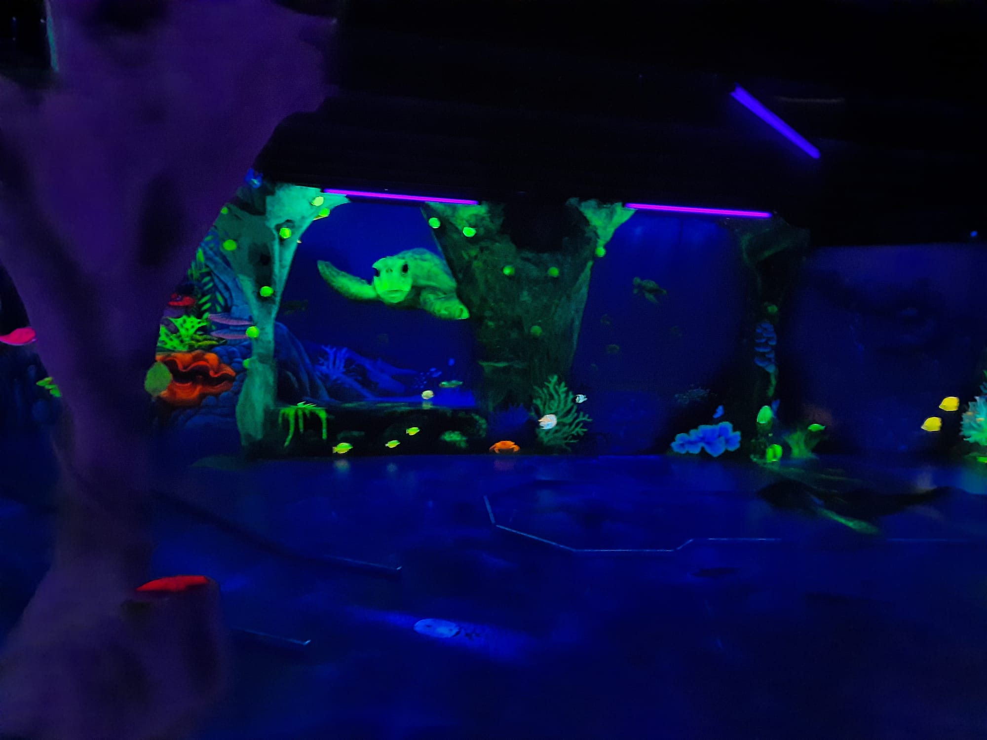 Atmosphärische Bahn